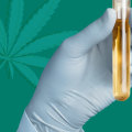 Will hemp come up on a drug test?